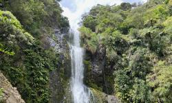 Featured image of post Kitekite Falls